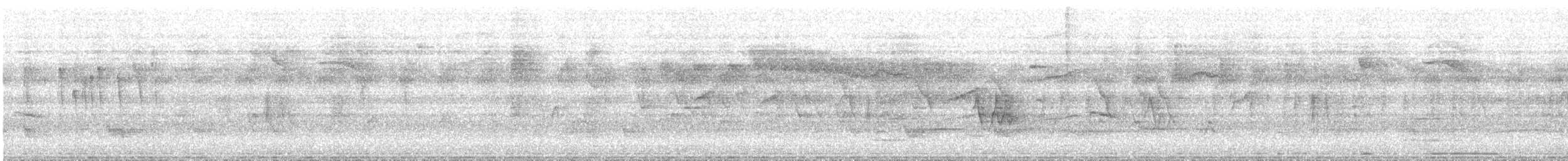 Tyranneau à toupet - ML641512166