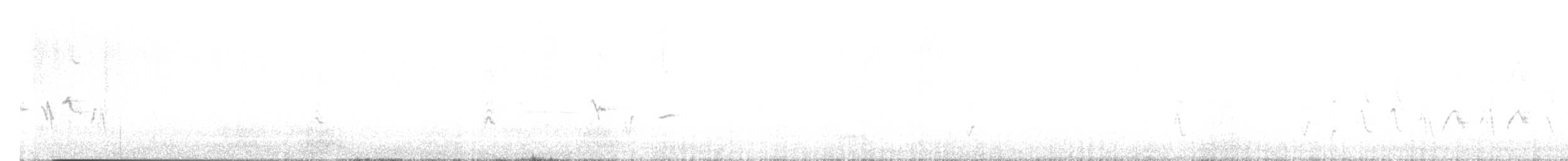 Roselin familier - ML641512478