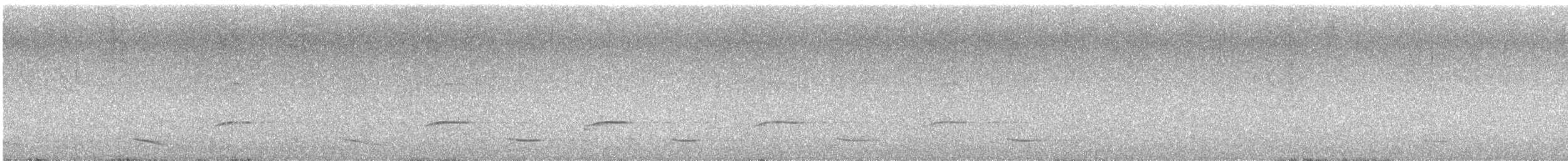 brilletrupial - ML641513413