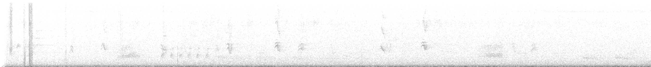 House Finch - ML641513642