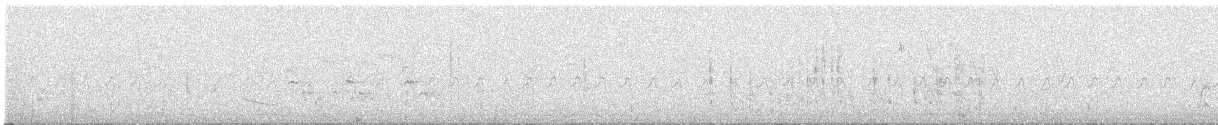 pelikán severoamerický - ML641514151