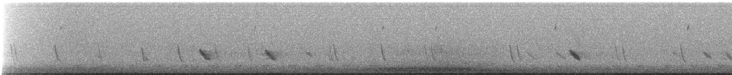 ムラサキツバメ（hesperia） - ML641515364