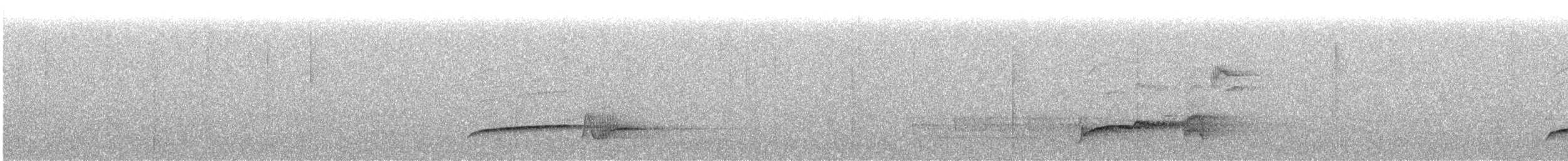 Bassian Thrush - ML641515619