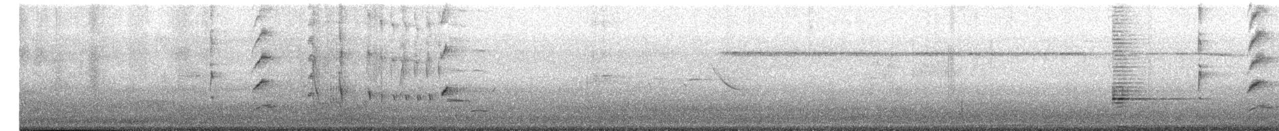 Austral Blackbird - ML641515861