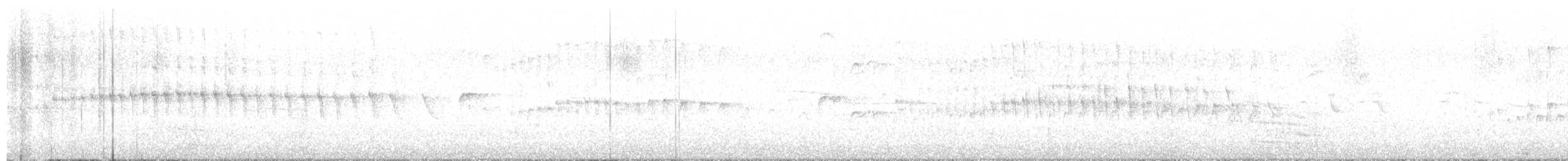 Alpine Swift - ML641516045
