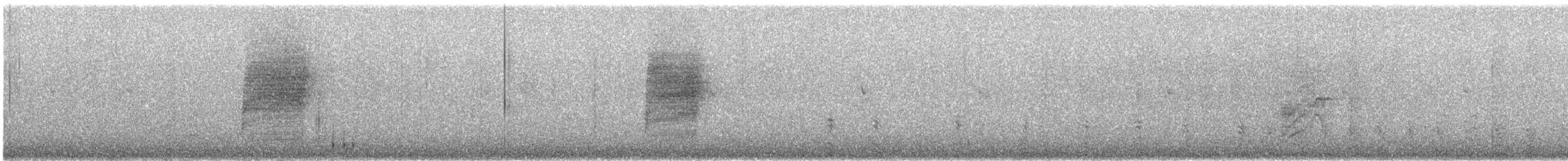 Bewick's Wren - ML641516438
