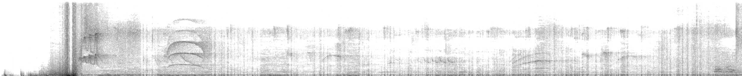 Narrow-billed Woodcreeper - ML641516661