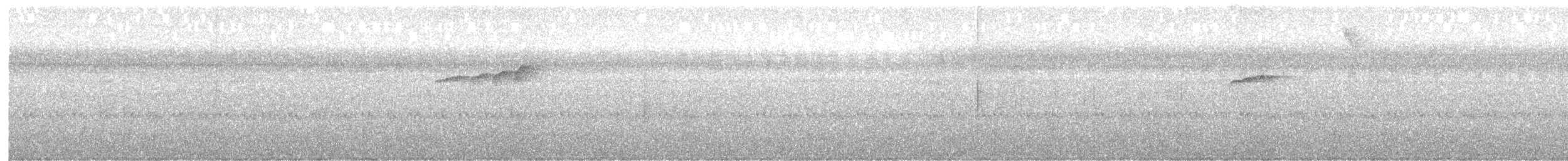 mustasjedovenfugl - ML641516771