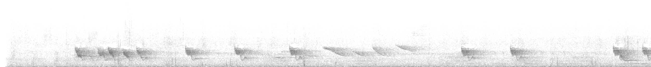 Swallow-tailed Manakin - ML641517372