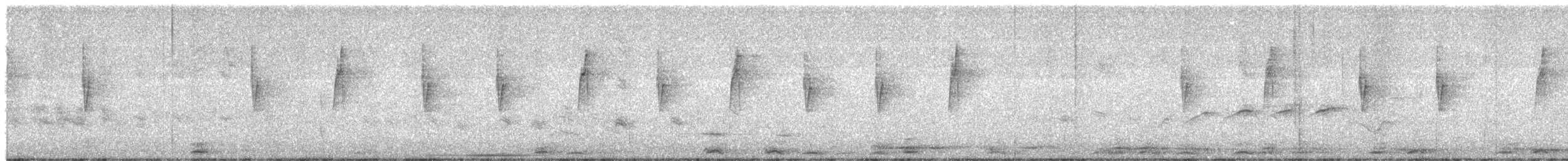 White-vented Violetear - ML641517802
