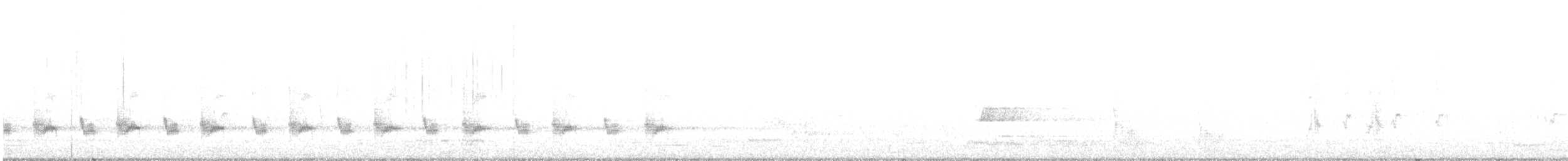 ノドグロハチマキミツスイ - ML641517960