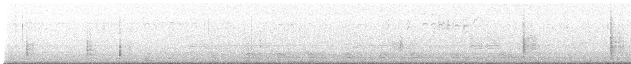 Brewer's Blackbird - ML641519434