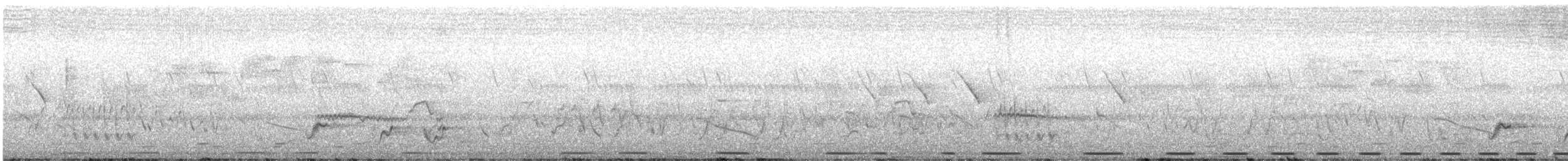 Turtur sp. - ML641519901