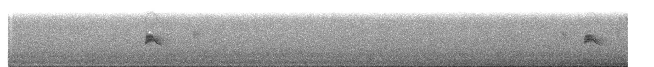 White-winged Black-Tyrant - ML641521169