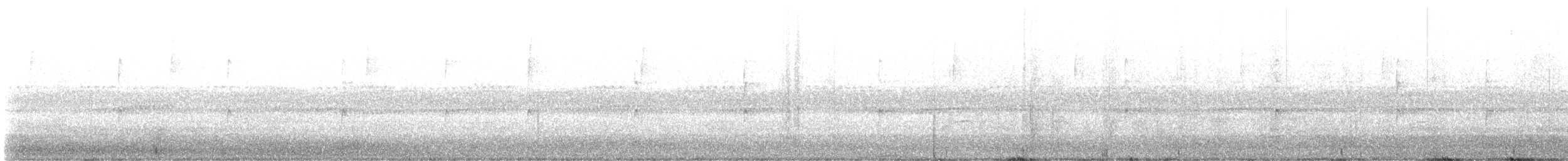 フユミソサザイ - ML641522581