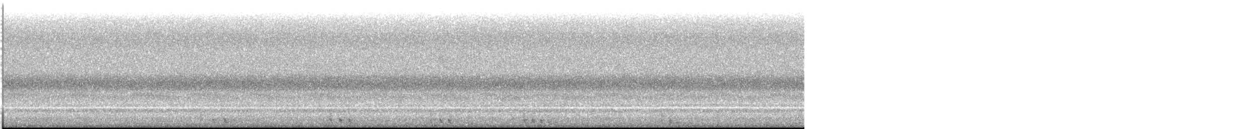 קוקיה שחורת-מקור - ML641525590