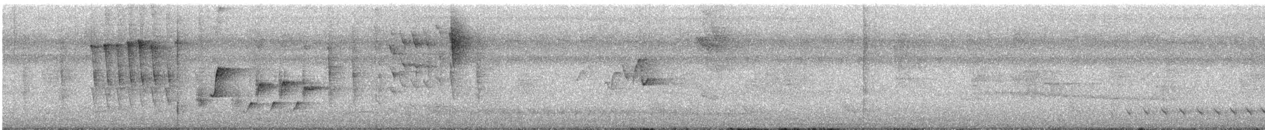 Red-crowned Woodpecker - ML641527027