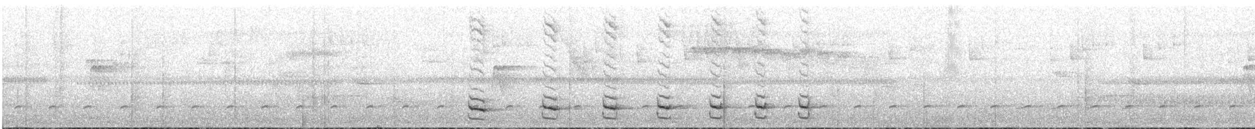 Uniform Antshrike - ML641527123