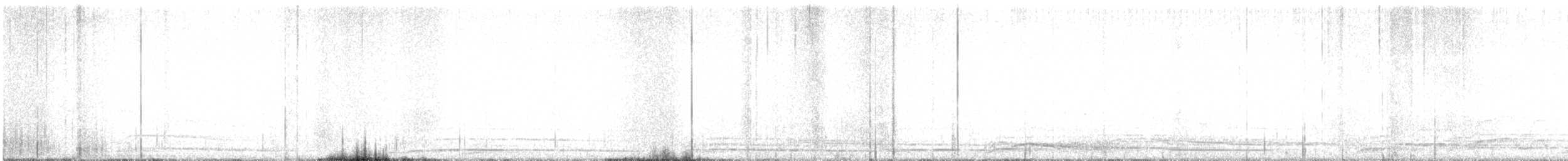 Coyote - ML641527249