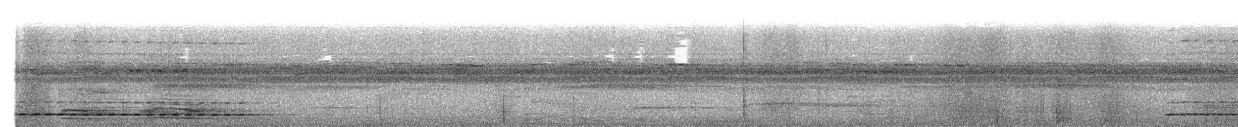 Амазонский сычик - ML641527634