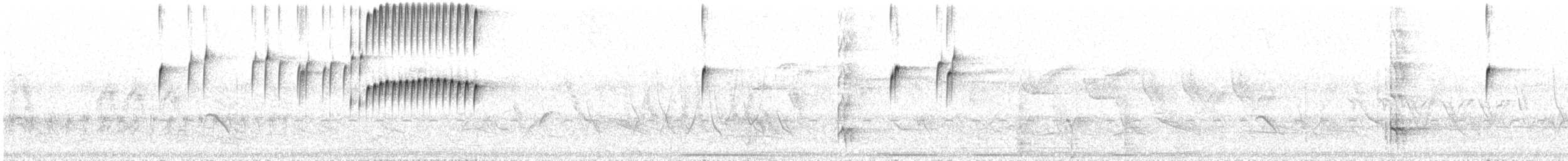 kvegtyrann - ML641528062