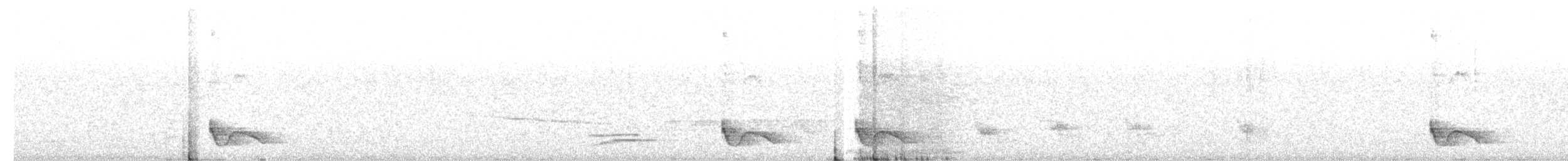 Swallow-tailed Manakin - ML641529563