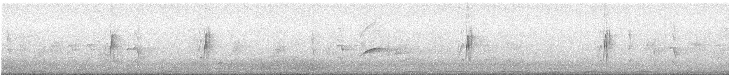 Tufted Tit-Tyrant - ML641530682