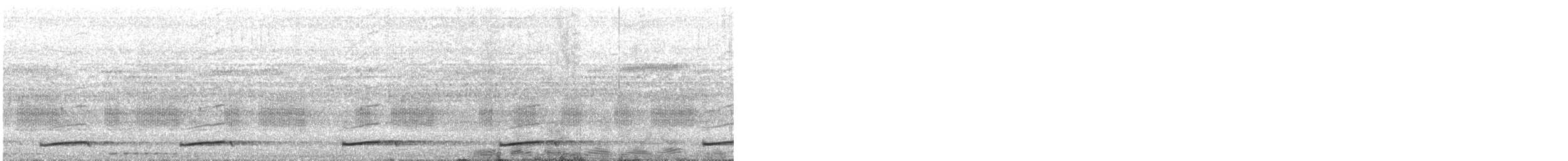 Short-tailed Nighthawk - ML641535557