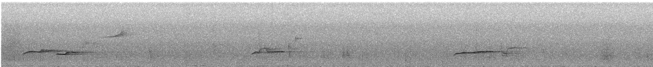 Bassian Thrush - ML641535765
