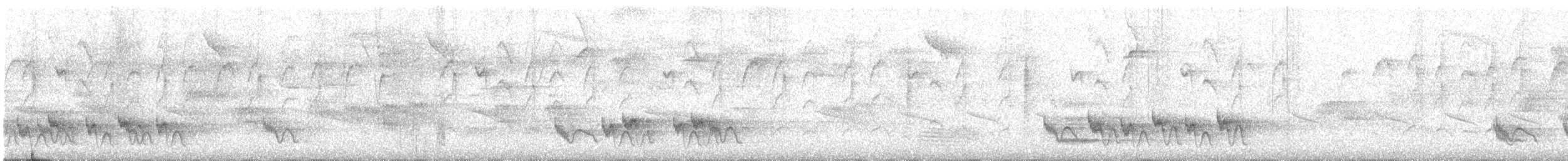 Swallow-tailed Manakin - ML641535817