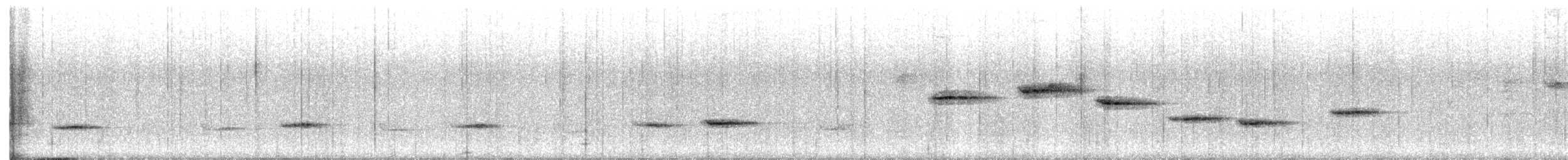 Nightingale Wren - ML641536292