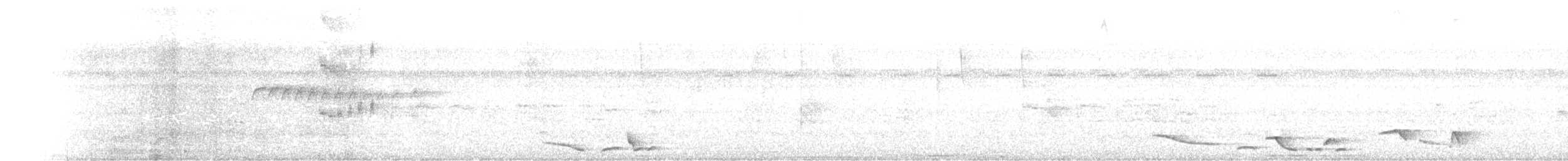 Чернобрюхий крапивник - ML641537798