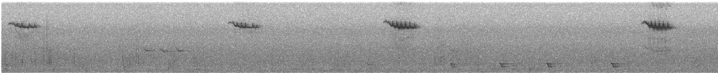 Bassian Thrush - ML641539129