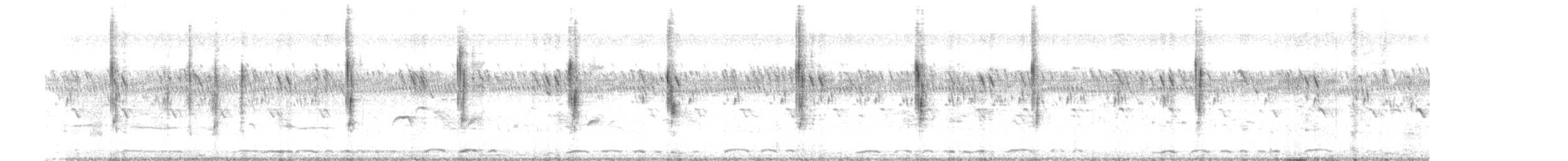 セッカ - ML641539882