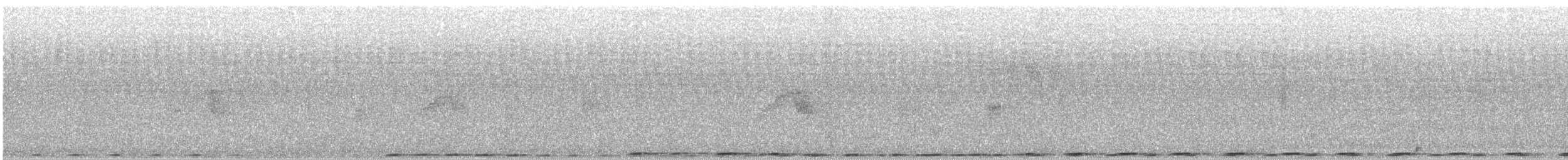 Greater Coucal - ML641540210