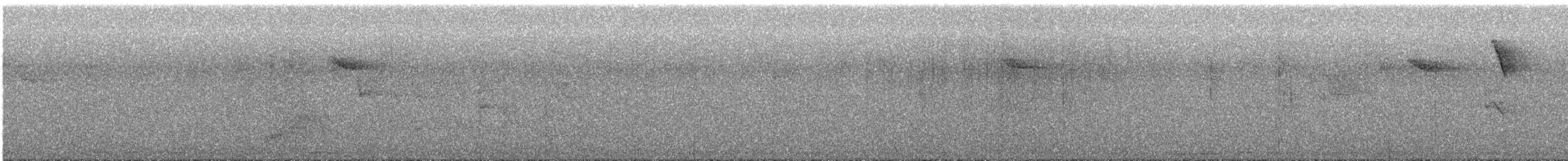 White-browed Warbler - ML641540501