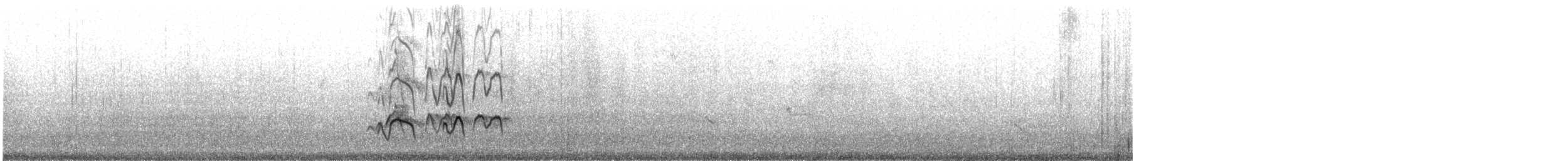 Eurasian Oystercatcher (Western) - ML641542944