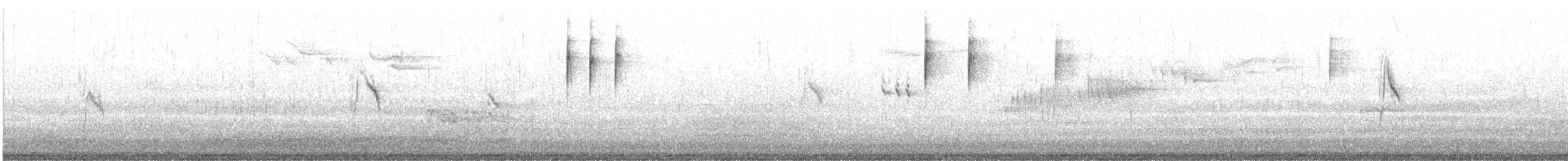 Cutrettola - ML641543474