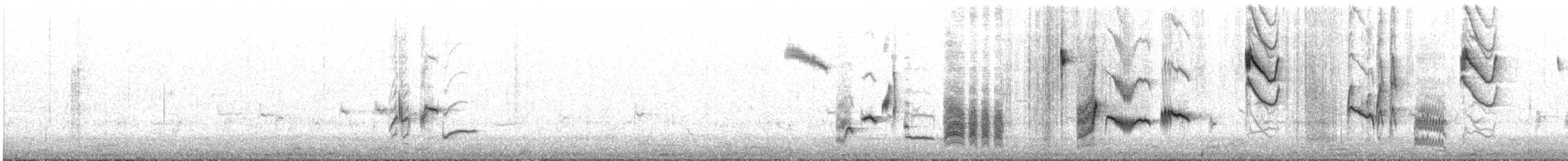 Cape Robin-Chat - ML641543964