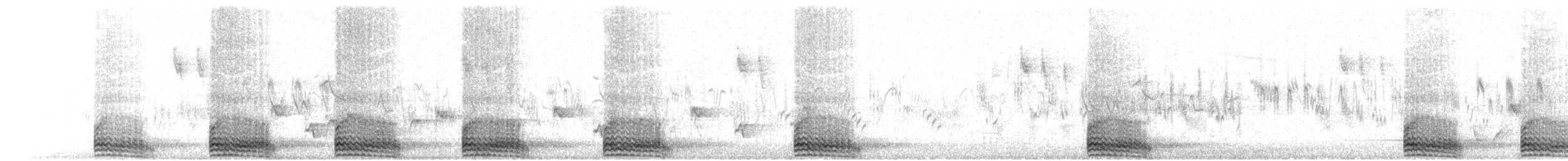 vrána tlustozobá - ML641545263