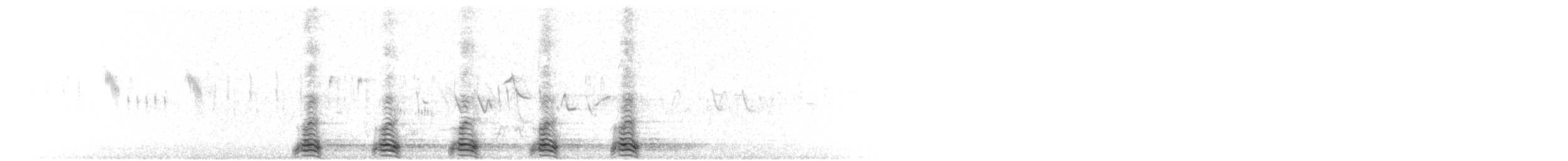 vrána tlustozobá - ML641545273