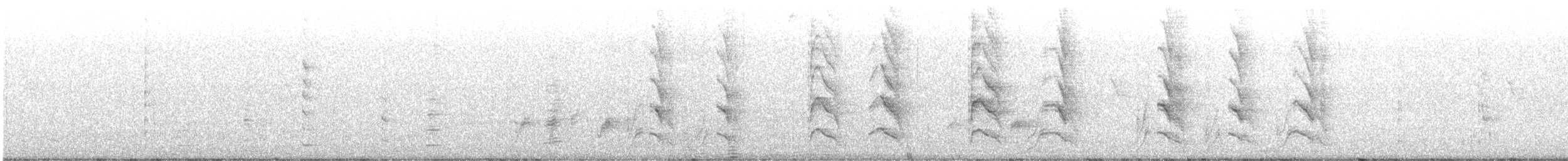 Rose-ringed Parakeet - ML641545277