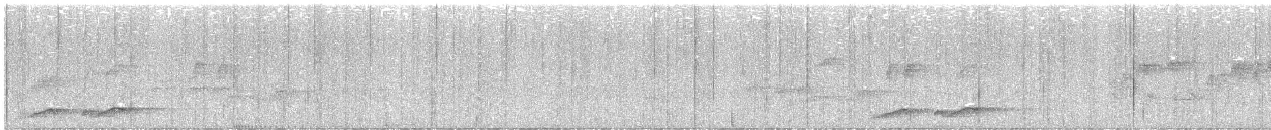 Noisy Pitta - ML641545609