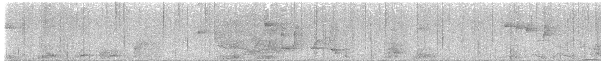 Albert's Lyrebird - ML641545700