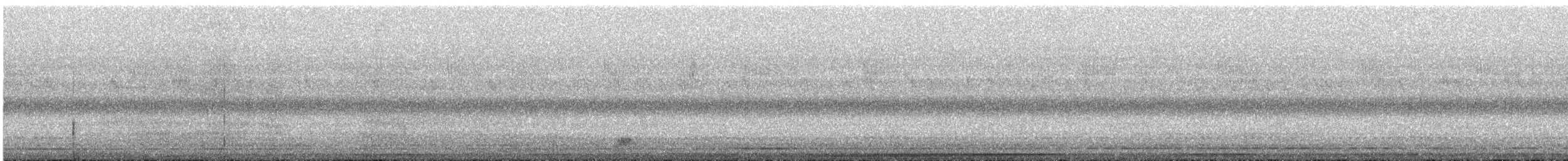 bukač severoamerický - ML641546931