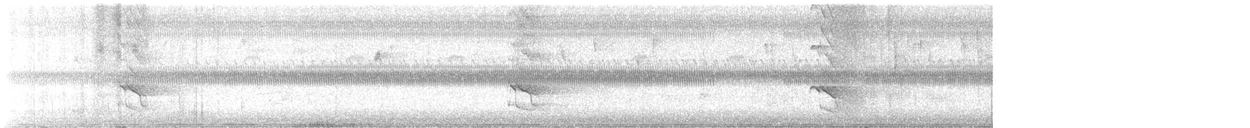 Northern Flicker - ML641547472
