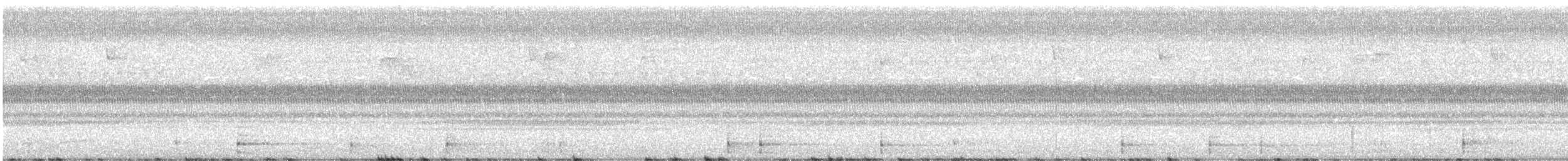 Tacchino selvatico - ML641549645