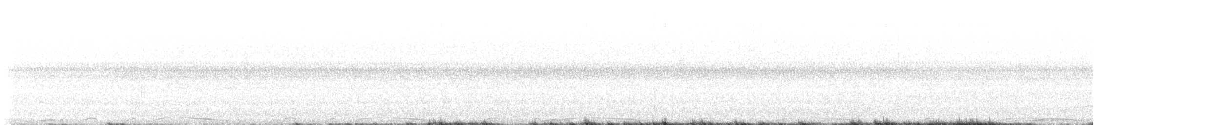Pale-vented Pigeon - ML641549832