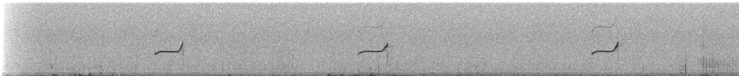 Канастеро смугастохвостий - ML641550428