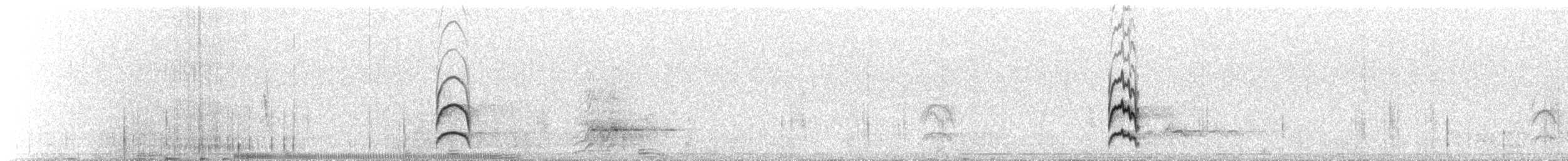 Землекоп тонкодзьобий - ML641550454